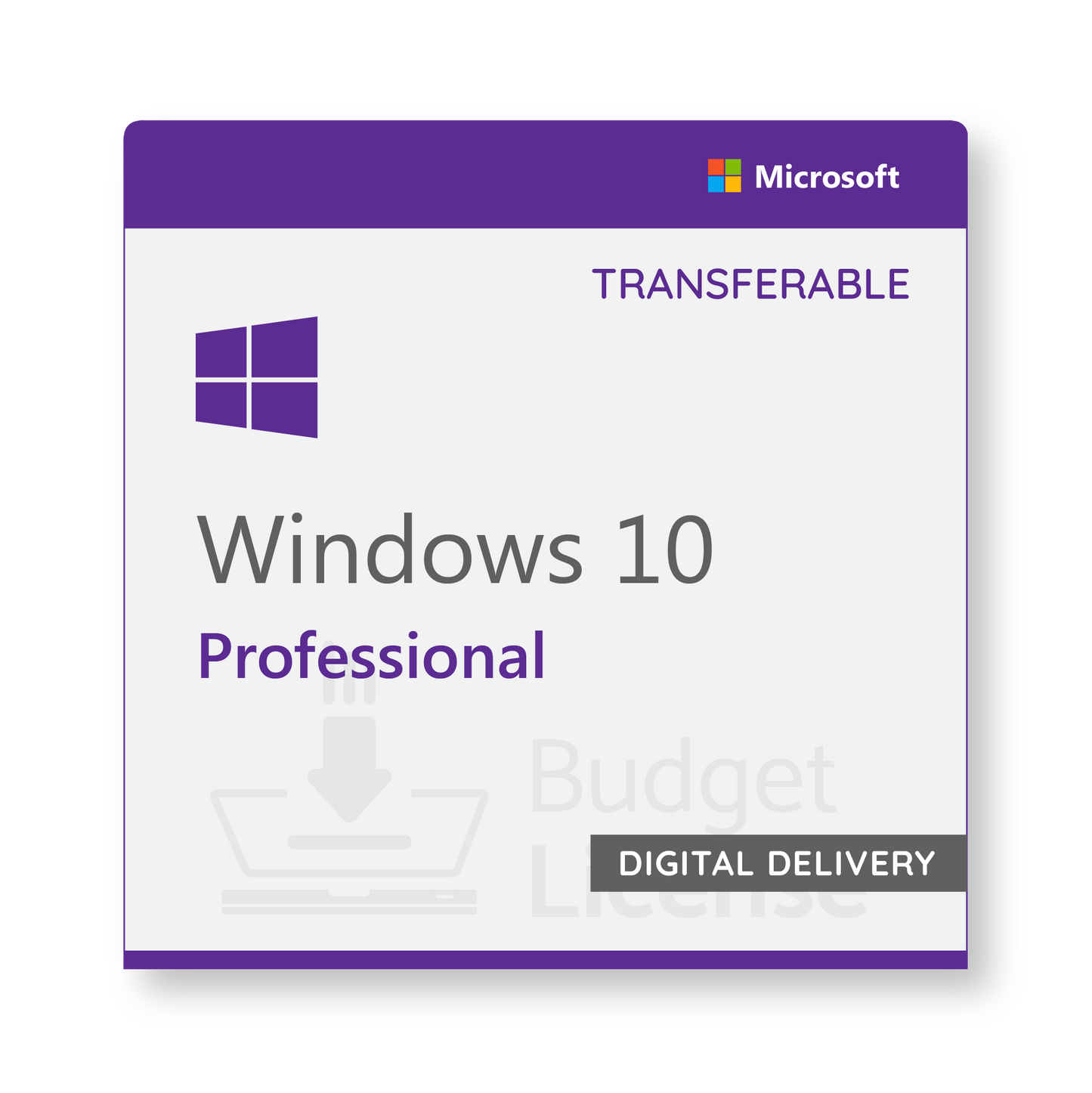Windows 10 Professional Transferable - Digital Delivery