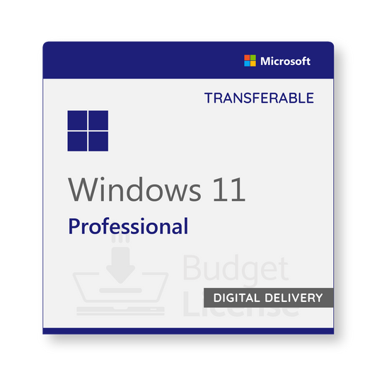 Windows 11 Professional Transferrable - Digital Delivery