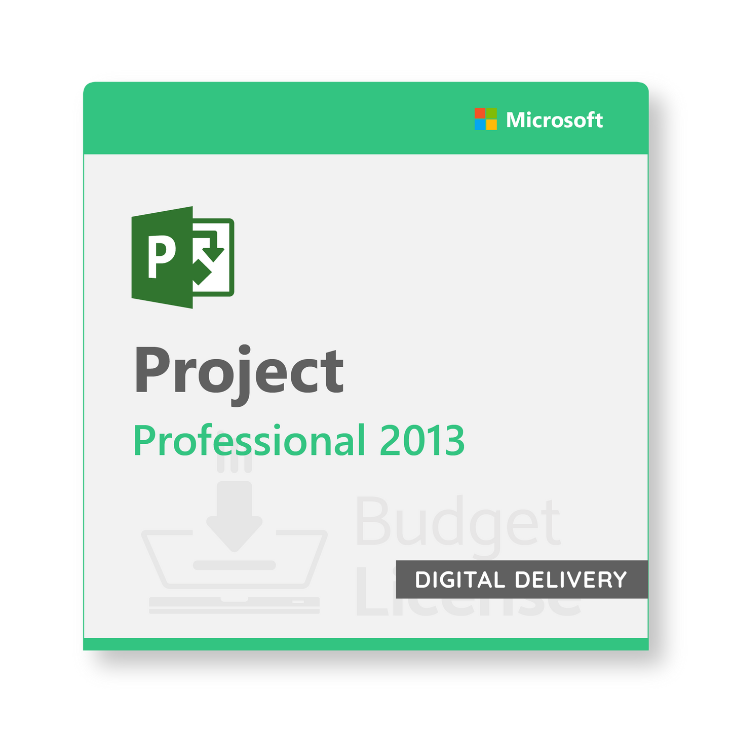 Project 2013 Professional - Digital Delivery