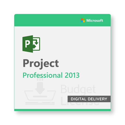Project 2013 Professional - Digital Delivery