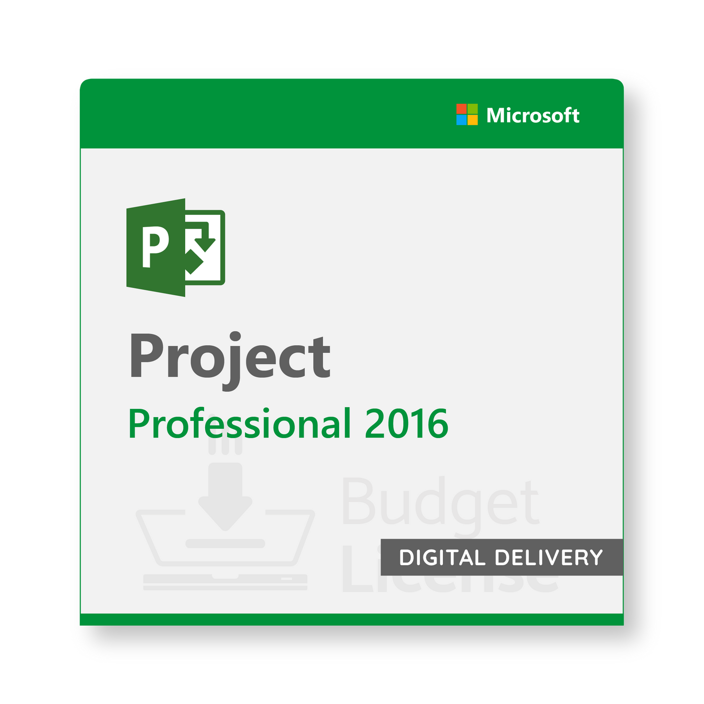 Project 2016 Professional - Digital Delivery