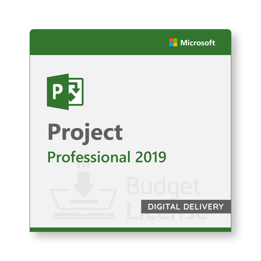 Project 2019 Professional - Digital Delivery