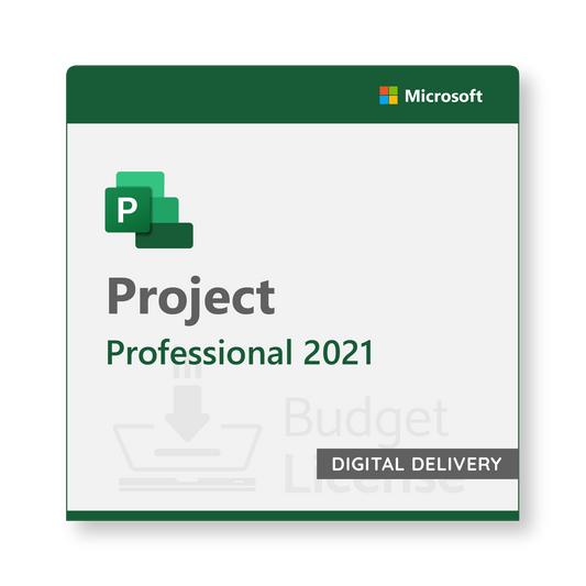 Project 2021 Professional - Digital Delivery