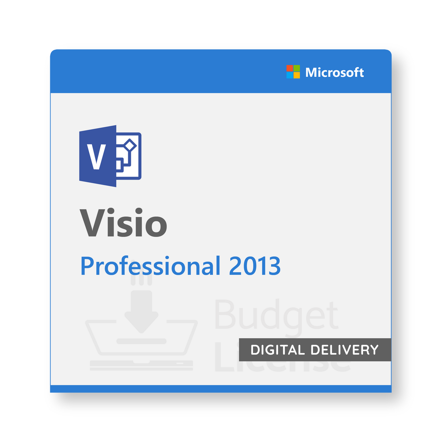 Visio 2013 Professional - Digital Delivery