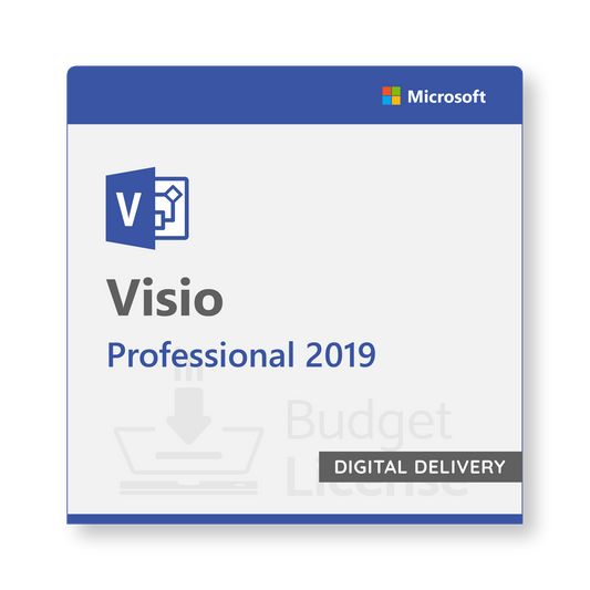Visio 2019 Professional - Digital Delivery