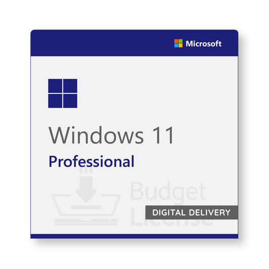 Windows 11 Professional - Digital Delivery