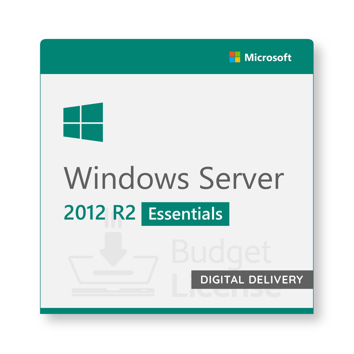 Windows Server 2012 R2 Essentials - Digital Delivery