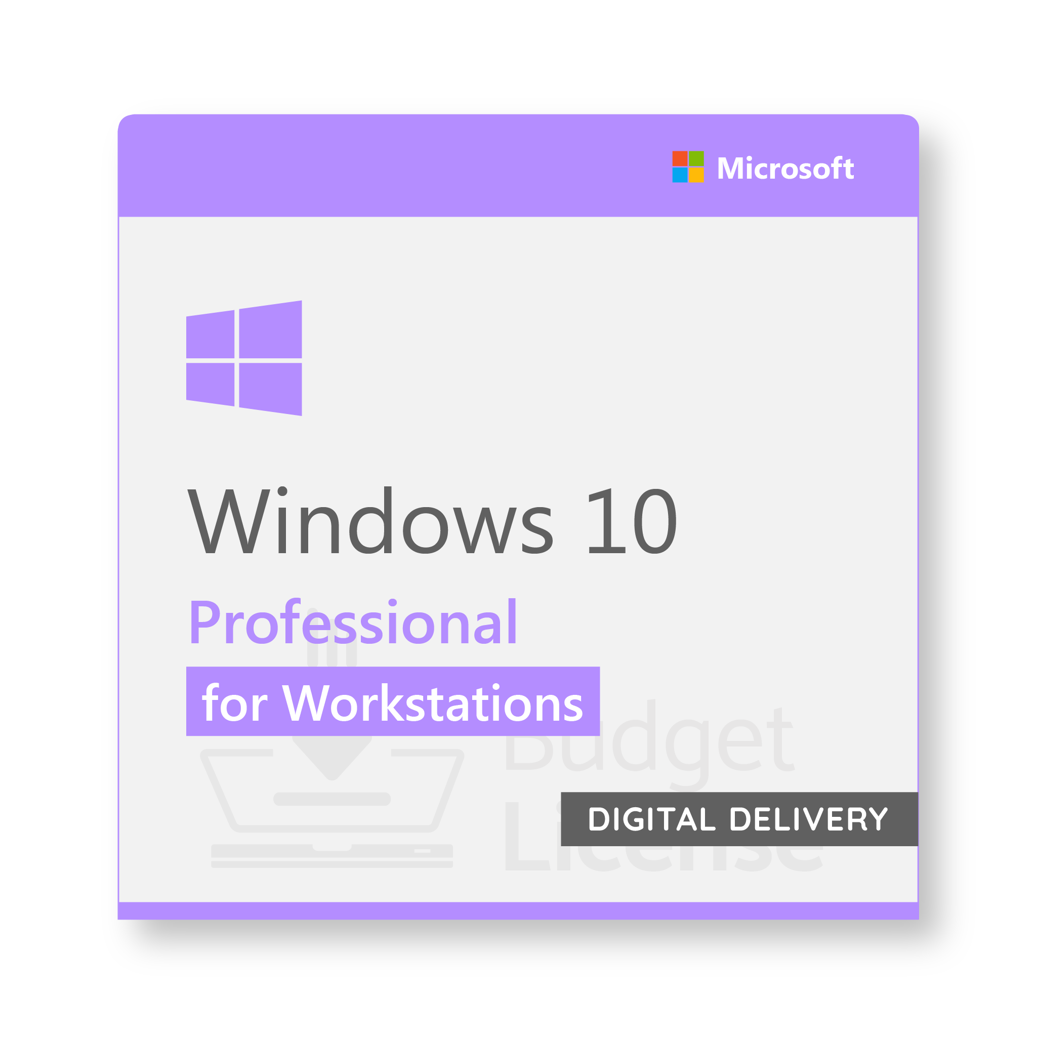 Windows 10 Professional for Workstation Digital Delivery BudgetLicense