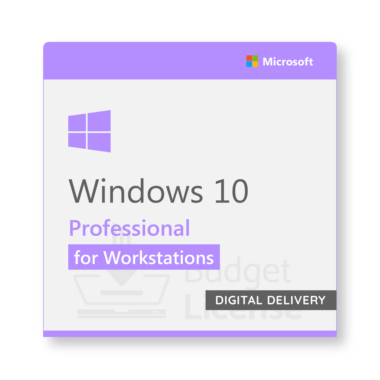 Windows 10 Professional for Workstation - Digital Delivery