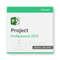Project 2013 Professional - Digital Delivery